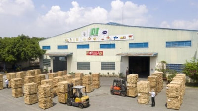 Gỗ Đức Thành đạt 46 tỷ đồng lợi nhuận trong năm 2023, giảm 47,3%