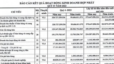 DIC Holdings báo lãi đột biến quý cuối năm 2023