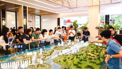 Luật Đất đai 2024 có liệu lực, Việt kiều ‘sáng cửa’ mua nhà trong nước