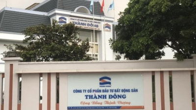 Bất động sản Thành Đông bị phạt gần 500 triệu đồng vì vi phạm đất đai