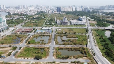 Các địa phương 'rục rịch' khai xuân 2024 đấu giá hàng loạt khu đắc địa hàng nghìn tỷ đồng