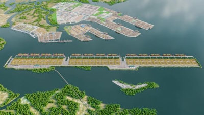 Vướng rừng tự nhiên, 'siêu’ cảng quốc tế 4,8 tỷ USD của Việt Nam chưa được bổ sung quy hoạch