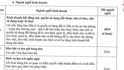 Nhiều doanh nghiệp tay ngang lấn sân sang thị trường bất động sản