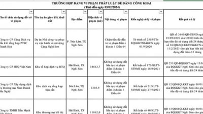 Thanh Hóa công khai danh sách 189 dự án vi phạm đất đai, chậm triển khai dự án