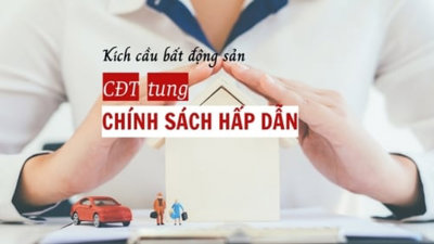 Kích cầu bất động sản, nhiều chủ đầu tư đã tung loạt chính sách hấp dẫn sau Tết