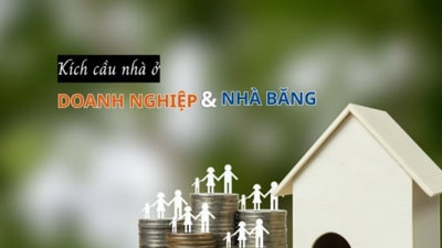 Kích cầu nhà ở, doanh nghiệp và nhà băng bắt tay nhau đưa ưu đãi khủng