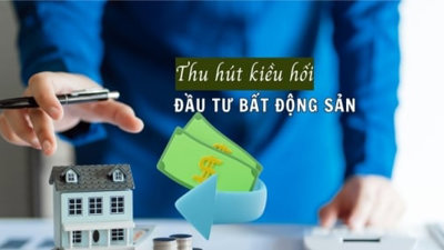 Cơ hội thu hút vốn từ kiều bào khi Luật Đất đai 2024 có hiệu lực