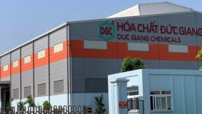 Gần 10 năm, cổ phiếu DGC của Đức Giang tăng giá 25,19 lần