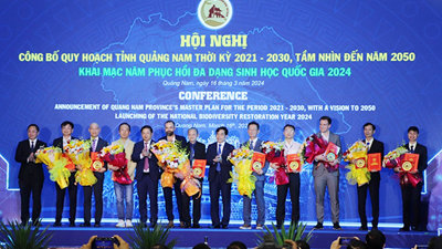 Hơn 20.000 tỷ đồng vốn đăng ký đầu tư vào Quảng Nam