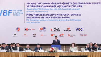 Doanh nghiệp FDI sẵn sàng cùng Việt Nam phát triển xanh
