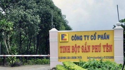 Phạt Công ty Cổ phần Tinh bột sắn Phú Yên gần 3,4 tỷ đồng