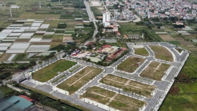 Hàng trăm lô đất tại 2 huyện ngoại thành Hà Nội ‘thi nhau’ lên sàn đấu giá