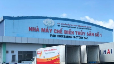 IDI lên kế hoạch chia cổ tức 20% bằng cổ phiếu