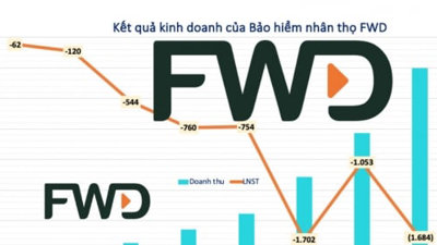 Bảo hiểm nhân thọ FWD Việt Nam: Lỗ lũy kế 'khủng' 6.900 tỷ đồng
