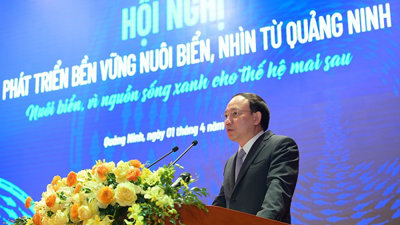 Quảng Ninh tạo điều kiện tốt nhất cho các nhà đầu tư phát triển kinh tế biển