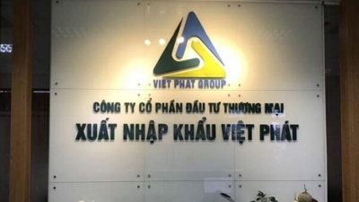 Xuất nhập khẩu Việt Phát: Gánh khối nợ hơn 5.600 tỷ đồng