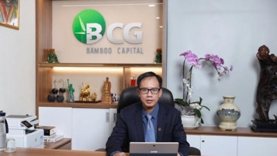 Hai thành viên cấp cao của Bamboo Capital xin từ nhiệm