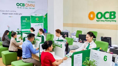 Lợi nhuận OCB giảm sau kiểm toán