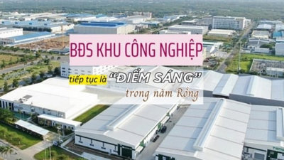 Bất động sản khu công nghiệp tiếp tục là điểm sáng trong năm rồng