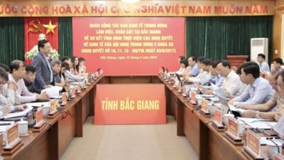 Bắc Giang muốn UBND tỉnh được quyền chấp thuận chủ trương đầu tư dự án xây dựng KCN