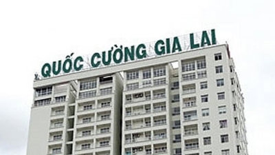 Bất ngờ, QCG (Quốc Cường Gia Lai) tiếp tục tăng hơn 4% trong khi VN-Index giảm 60 điểm