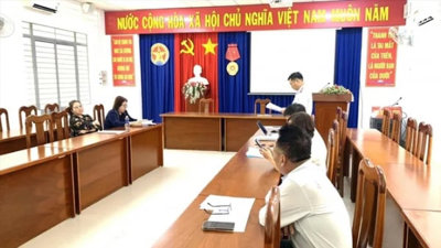 Tây Ninh: Chuyển hồ sơ trốn thuế của Công ty Nhựt Phát sang cơ quan điều tra