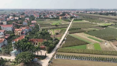 Hàng trăm thửa đất tại huyện ven Hà Nội ‘rục rịch’ lên sàn với giá khởi điểm trên 75 triệu đồng/m2