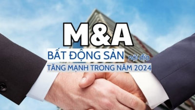 M&A nội tăng mạnh trong năm 2024