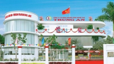 Hơn 78 triệu cổ phiếu TAR sắp bị huỷ niêm yết