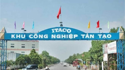 TP.HCM dừng thủ tục hải quan với hàng loạt DN nợ thuế