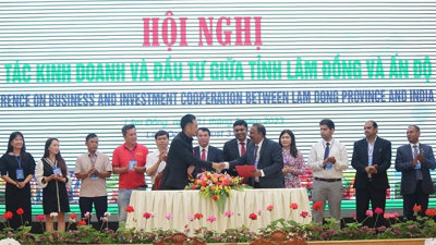 Lâm Đồng sẽ trao chứng nhận đầu tư 7 dự án, tổng vốn hơn 17.000 tỷ đồng