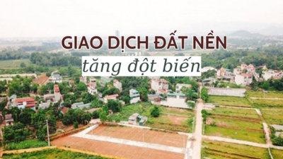 Nhà đầu tư đất nền vào cuộc săn đất