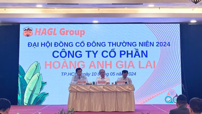 Bầu Đức tính IPO và niêm yết công ty con, không thoái vốn thêm trong 2024