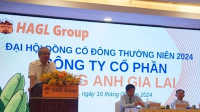 Nhóm nhà đầu tư chi ngàn tỷ thành cổ đông lớn của Hoàng Anh Gia Lai