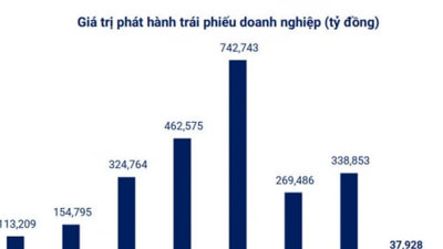 Thị trường trái phiếu đã xuất hiện những tín hiệu khởi sắc ngay trong những tháng đầu năm