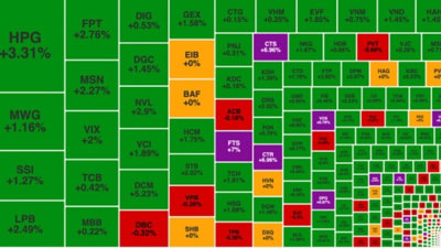 Hàng loạt cổ phiếu tăng trần giúp VN-Index đạt 1.254 điểm