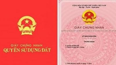 Ba khoản tiền này miễn phí hoàn toàn khi con xin cấp sổ đỏ đất đai cha mẹ để lại, khoản thứ 3 cực kỳ tiết kiệm