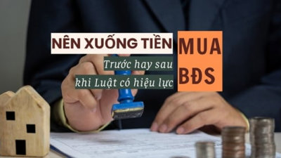 Nên xuống tiền mua bất động sản trước hay sau khi 3 luật lớn có hiệu lực?