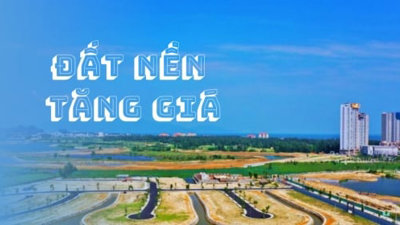 Vì sao sau năm 2025 giá đất nền sẽ tăng mạnh?