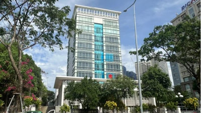 Bà Rịa - Vũng Tàu: Nợ thuế, 5 Giám đốc doạnh nghiệp bị hoãn xuất cảnh