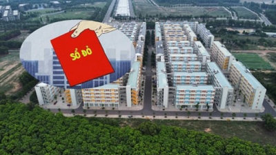 6 trường hợp sẽ bị thu hồi sổ đỏ từ năm 2025 theo Luật Đất đai 2024