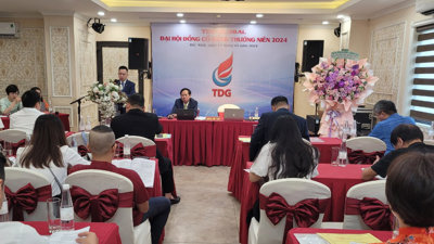 TDG Global lên kế hoạch thu gần 1.500 tỷ trong năm nay