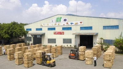Bà Lê Hải Liễu: Gỗ Đức Thành sẽ “vượt bão” thành công