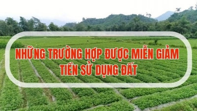 Từ năm 2025, thêm 2 trường hợp có khả năng được miễn tiền sử dụng đất