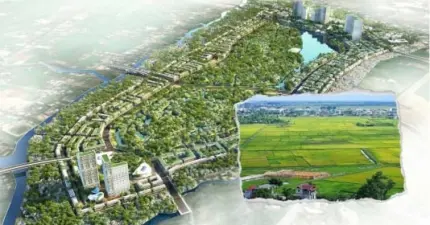 47,22ha đất trồng lúa vùng cửa ngõ Đông Nam Bộ bị 'xóa sổ', 'nhường chỗ' cho khu tái định cư