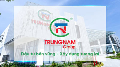 Trung Nam Group nói gì về việc Chủ tịch HĐQT bị tạm hoãn xuất cảnh?