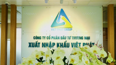 Xuất nhập khẩu Việt Phát: Doanh thu tăng mạnh, lợi nhuận giảm 94%