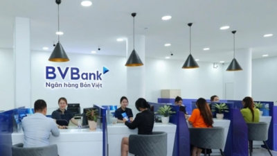 BVBank báo cáo tiến độ sử dụng 795 tỷ đồng từ đợt chào bán cổ phiếu