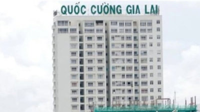 Quốc Cường Gia Lai bán 2 nhà máy thủy điện trả tiền vụ Trương Mỹ Lan