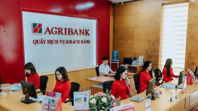 Agribank Phú Nhuận tự ý dùng tài sản thế chấp của bên bảo lãnh để cho vay